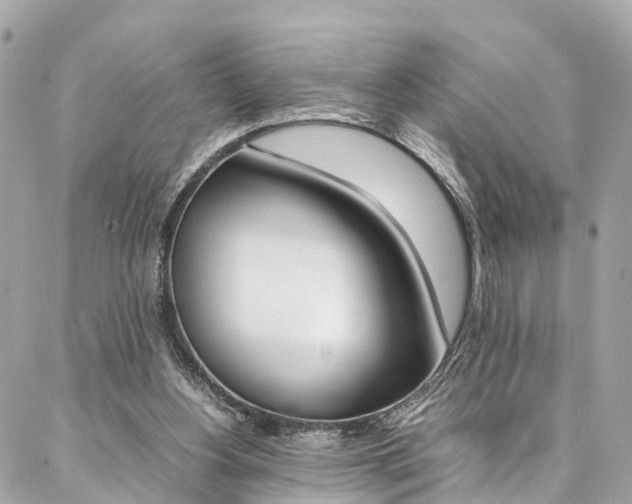 X0000086890156200704161015