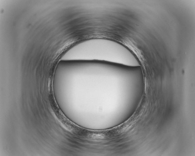 X0000086890157200704161015