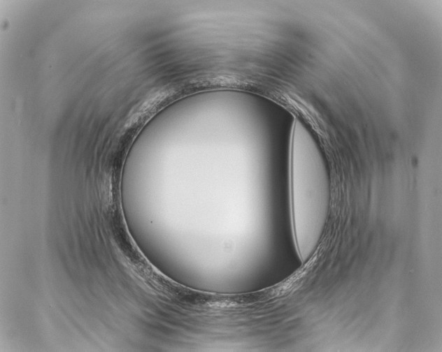 X0000086890158200704161015