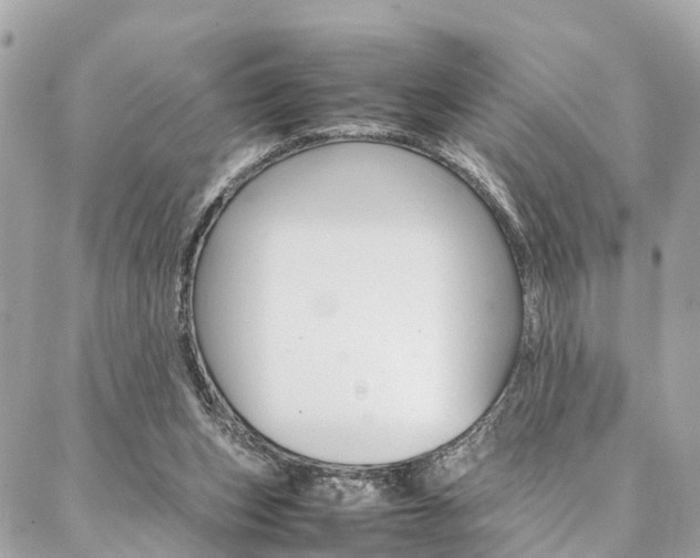 X0000086890159200704161015