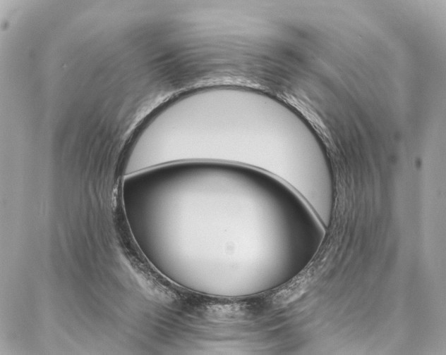 X0000086890160200704161015