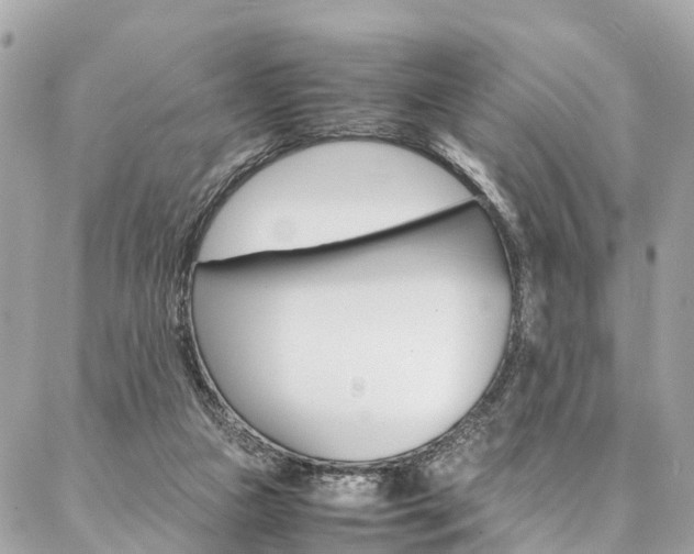 X0000086890161200704161015