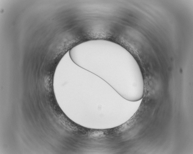 X0000086890162200704161015