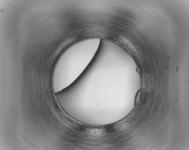 X0000086890163200704161015