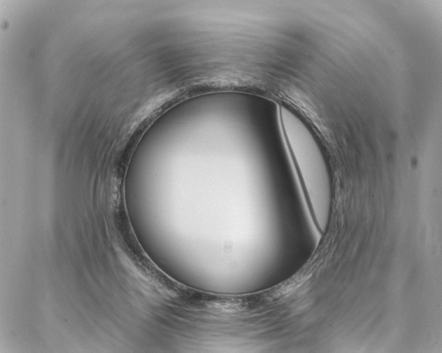 X0000086890164200704161015