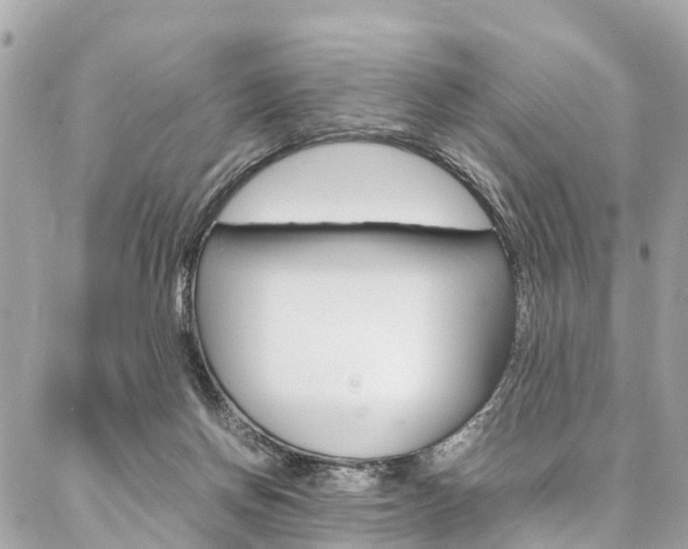 X0000086890166200704161015