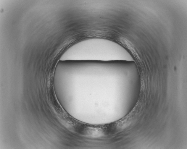 X0000086890167200704161015