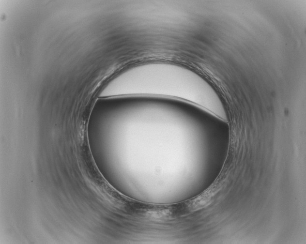 X0000086890168200704161015