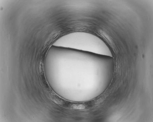 X0000086890169200704161015