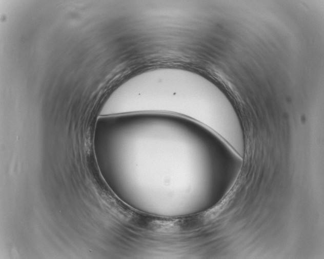 X0000086890170200704161015