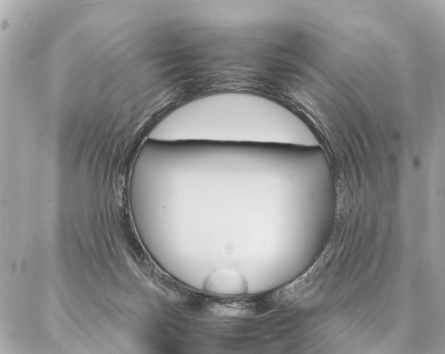 X0000086890171200704161015