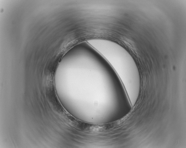 X0000086890172200704161015