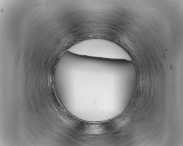 X0000086890173200704161015