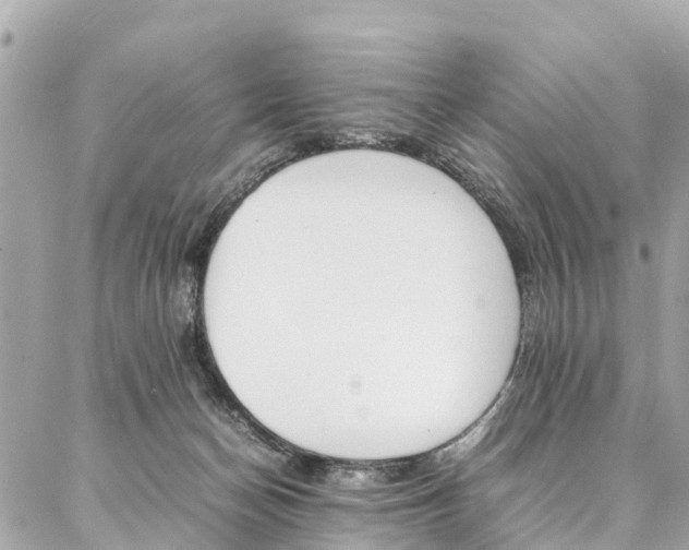 X0000086890174200704161015