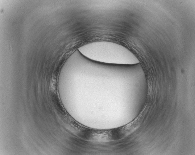 X0000086890175200704161015