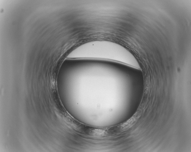 X0000086890176200704161015