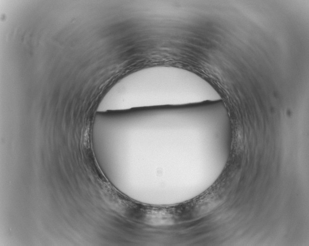 X0000086890177200704161015