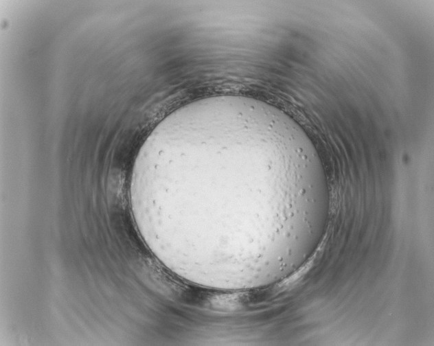 X0000086890178200704161015