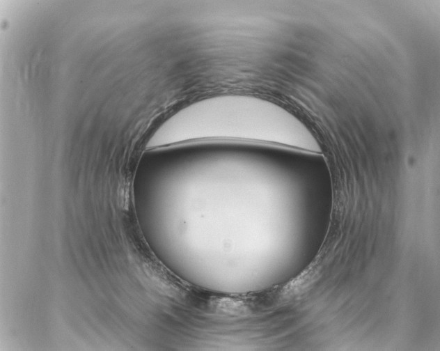 X0000086890180200704161015