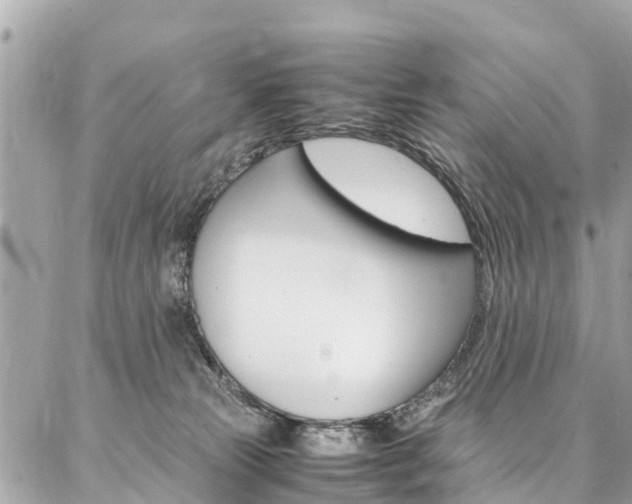 X0000086890181200704161015