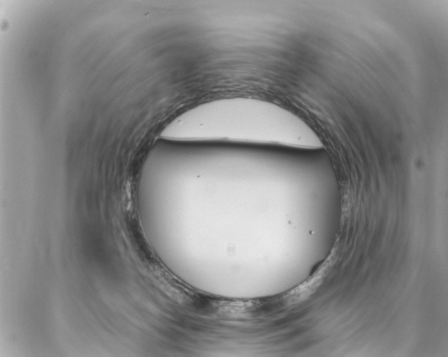 X0000086890182200704161015