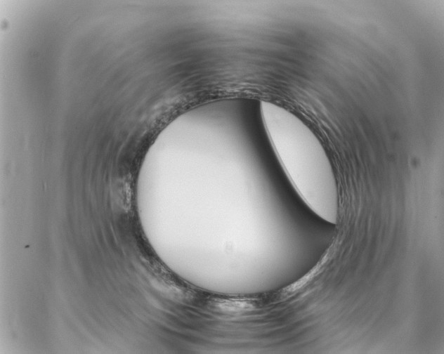 X0000086890183200704161015