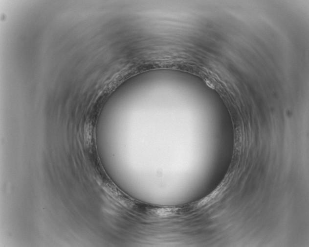 X0000086890184200704161015