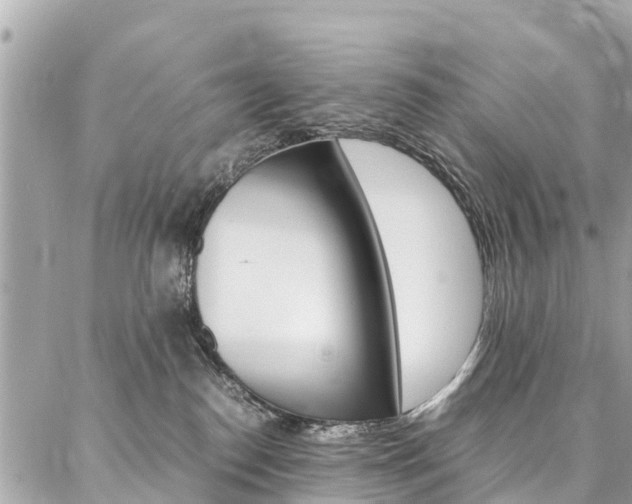 X0000086890186200704161015