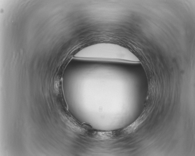 X0000086890188200704161015