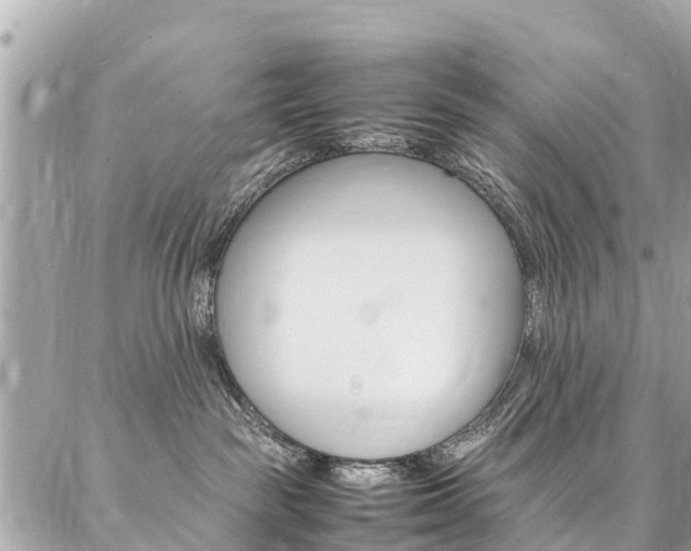 X0000086890189200704161015