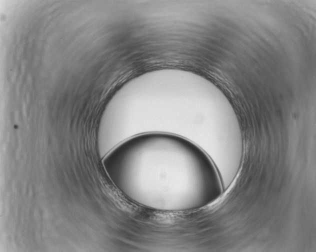 X0000086890190200704161015