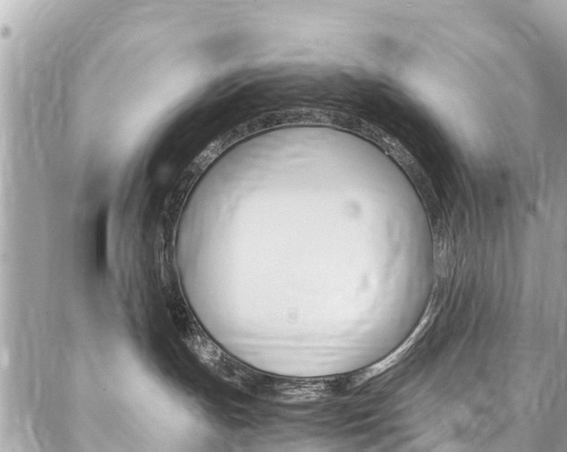 X0000086890191200704161015