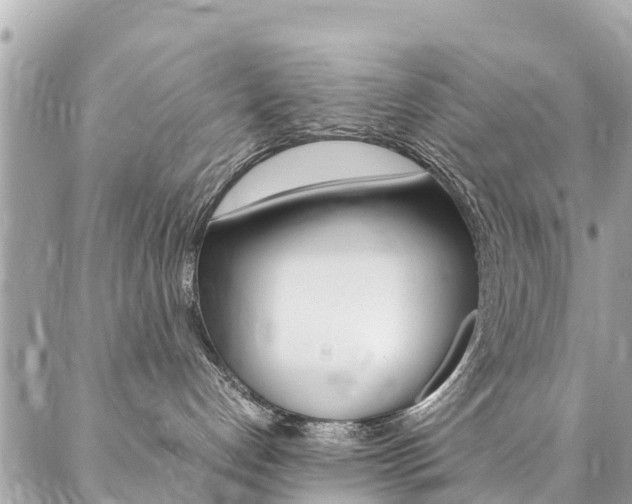 X0000086890192200704161015