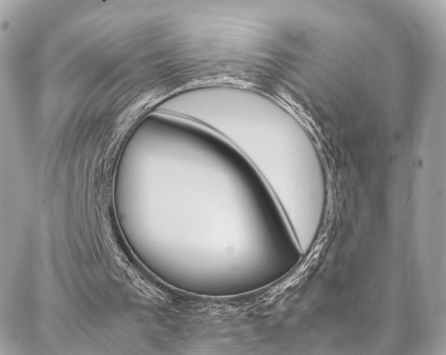 X0000086890193200704161014