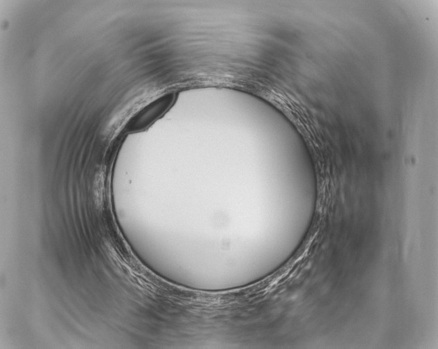 X0000086890194200704161014