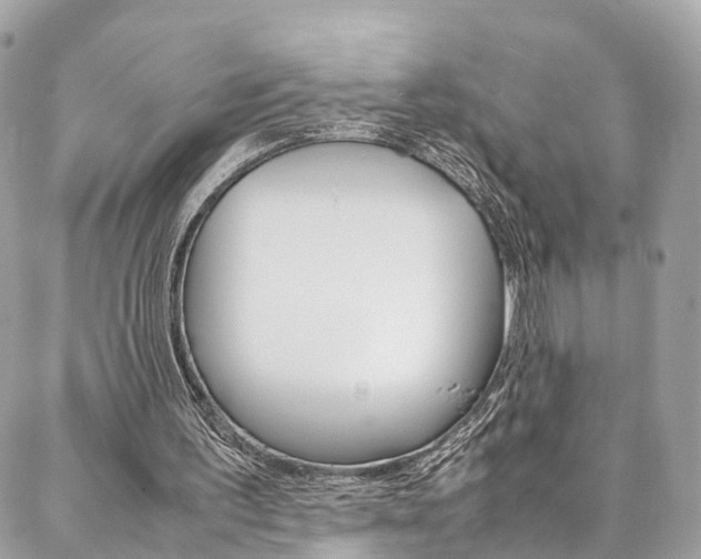 X0000086890195200704161014