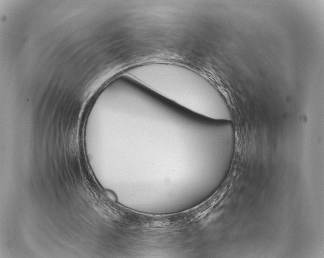 X0000086890196200704161014