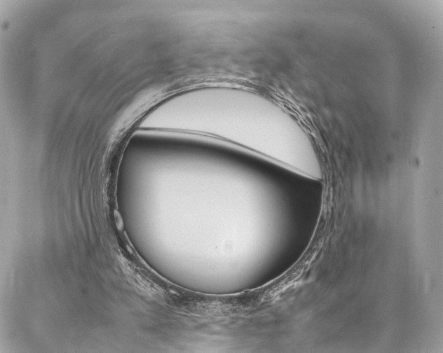 X0000086890197200704161014