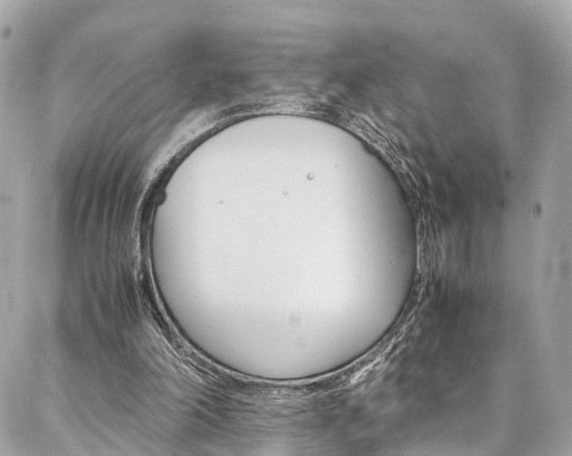 X0000086890198200704161014