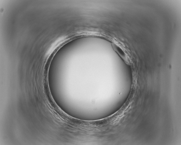 X0000086890199200704161014