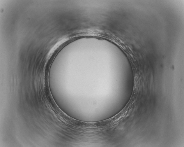 X0000086890200200704161014