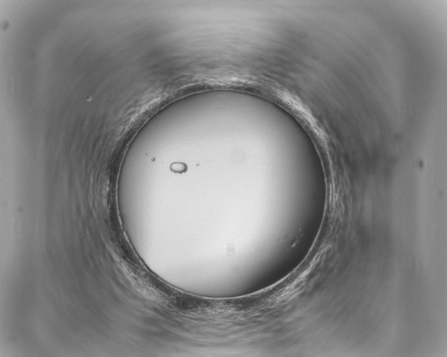 X0000086890201200704161014