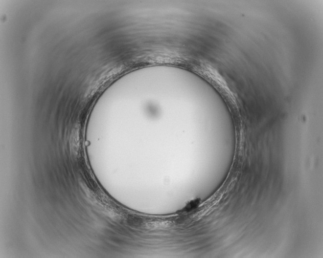 X0000086890202200704161014