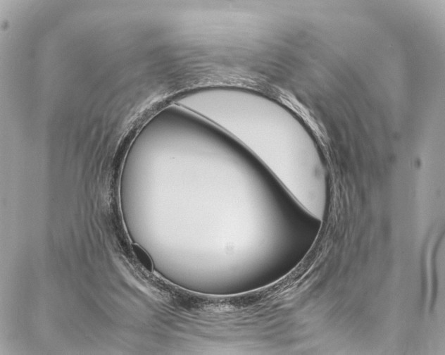 X0000086890203200704161014