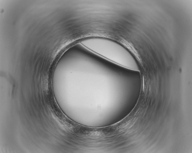 X0000086890204200704161014