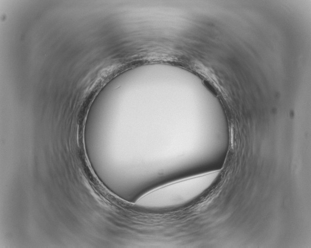 X0000086890205200704161014