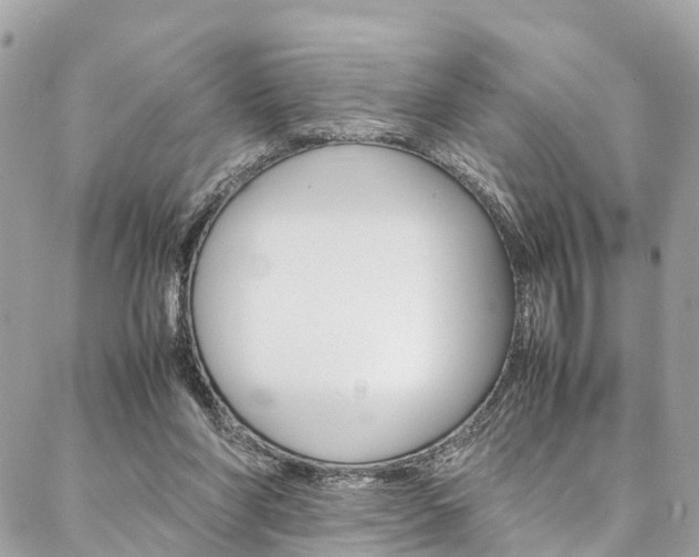 X0000086890206200704161014