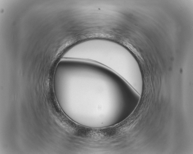 X0000086890207200704161014