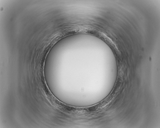 X0000086890209200704161014