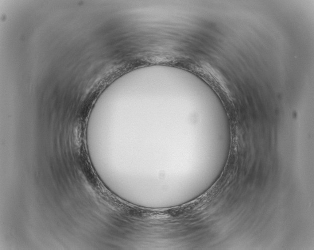 X0000086890210200704161014